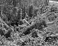  : Car Wreck, Nov 5, 1946