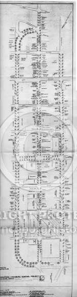 Downtown Revitalization Project - Streets and Trees 1981