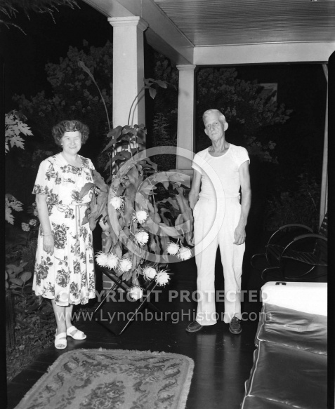  : R.S. ABBOTT FLOWER, JULY 26