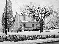  : Snow, Feb 8 1965