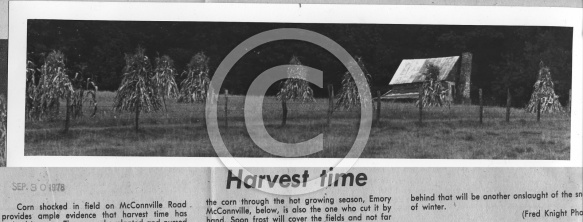  : Farm McConville rd