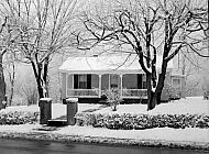  : Snow, Feb 8 1965
