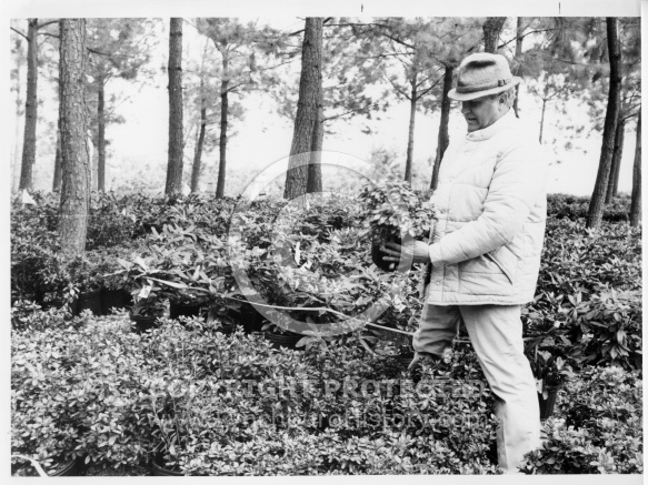  : Saunders Paul Nursery 84