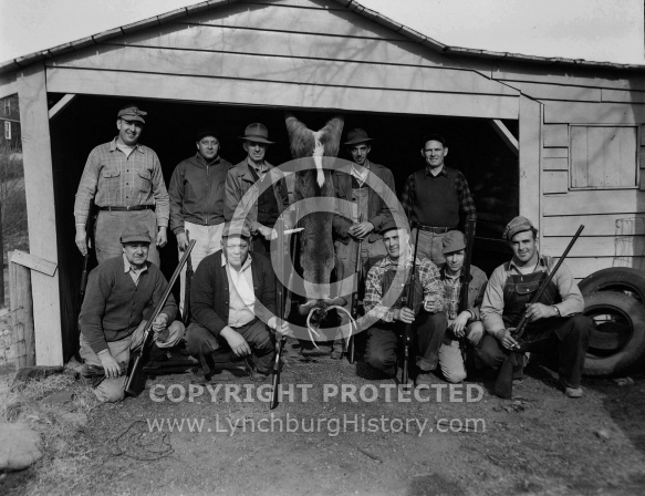  : MR. JOHN T. KNOLL, DEER, NOVEMBER 24, MADISON HEIGHTS