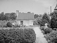  : T.K. Scott Home Farm