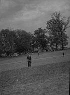  : SWEET BRIAR