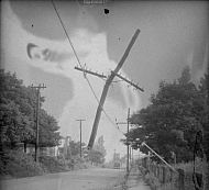  : TELEPHONE POLE ACCIDENT