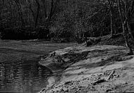  : The Rock, Feb 28, 1965