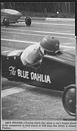  : Blue Dahlia car two years