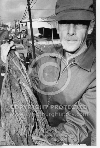  : Tobacco farmer Main 70