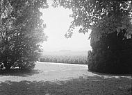  : T.K. Scott Home Farm