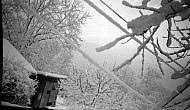  : Snow shuts