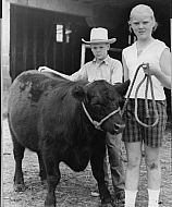  : Farm show prize bull