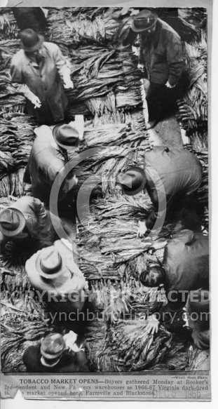  : Tobacco market 66