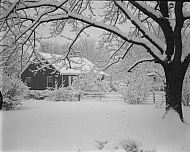  : Snow, Feb 28, 1964
