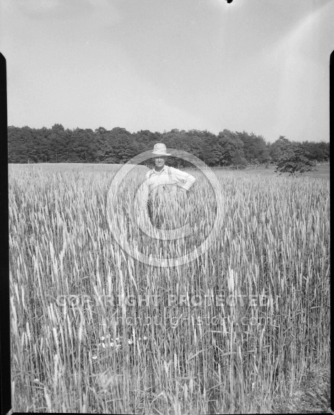  : Mr. Mantiply in Wheat Field