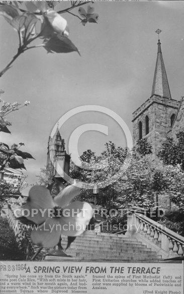  : Monument terrace dogwoods