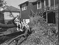  : WILLOW TREE CLEMENTS, JUNE 10