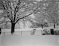  : Snow, Feb 28, 1964