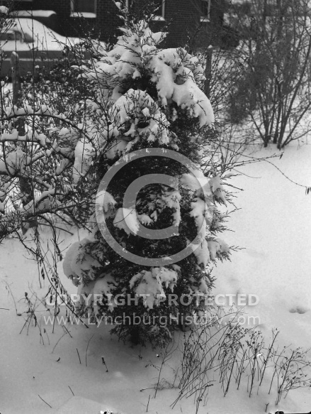  : Snow, Jan 1965