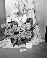  : Flower Show M.E. Church October 10, 1955, Shaner Wright Flowers