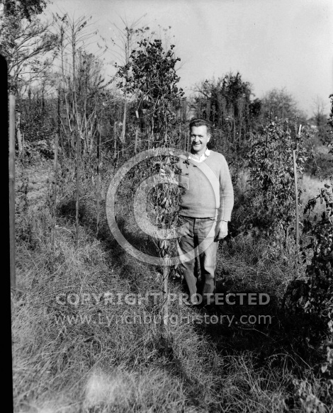  : ROBERT WALTON BUTTER BEAN VINE, NOVEMBER 12