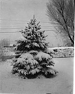  : Snow, Feb 8 1965
