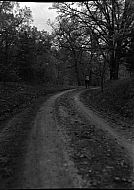  : SWEET BRIAR