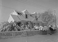  : ED CHILDRESS HOUSE IN SNOW, JANUARY 2