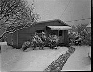  : Snow, Feb 8 1965