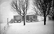  : snow, 1964