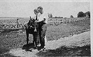 Couple With Mule