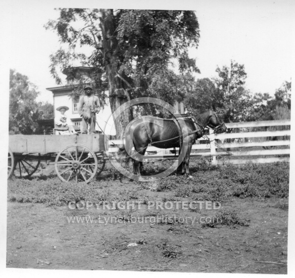 man in wagon, Hilly Farm