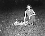  : Cat & Dog, Cultiey, July 14, 1951
