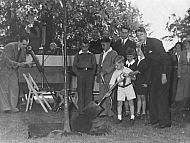 Sesquicentennial - Tree Planting